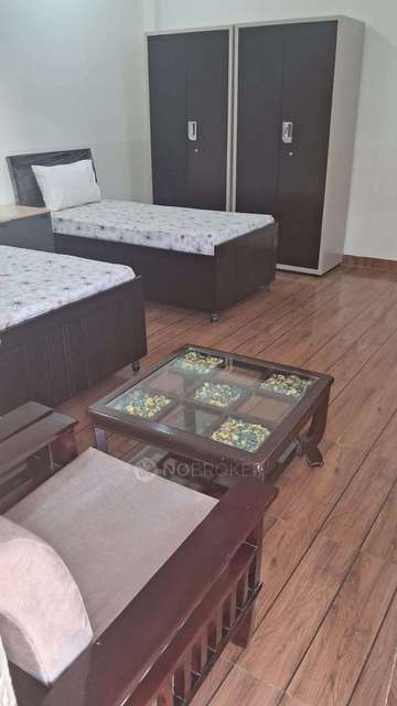 PG for Girls in Sector 15