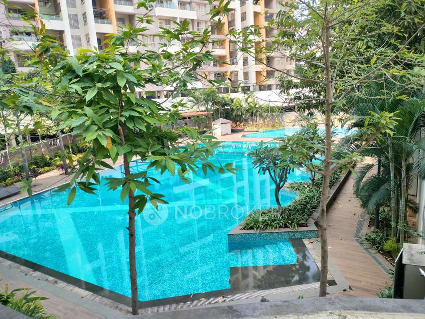 3 BHK Flat In Kolte Patil Western Avenue for Rent  In Wakad