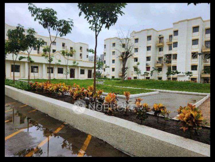 3 BHK Flat In Sb for Rent  In Gahunje