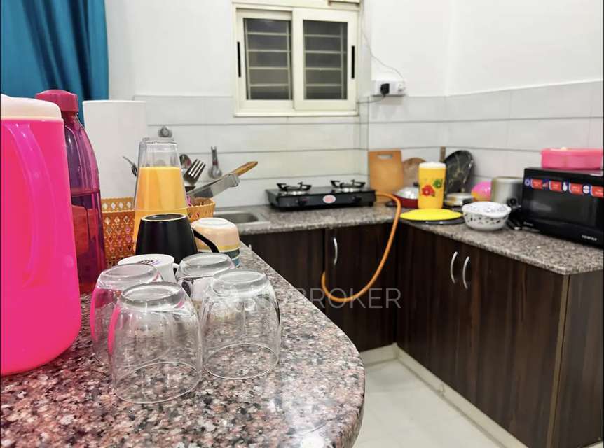 PG for Anyone in Hsr Layout 5th Sector,