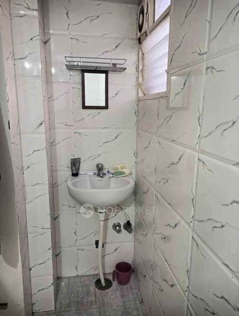 PG for Anyone in Hsr Layout 5th Sector,