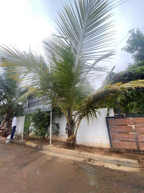 Plot For Sale  In Pionier Lake Districtt In Pionier Lake Districtt