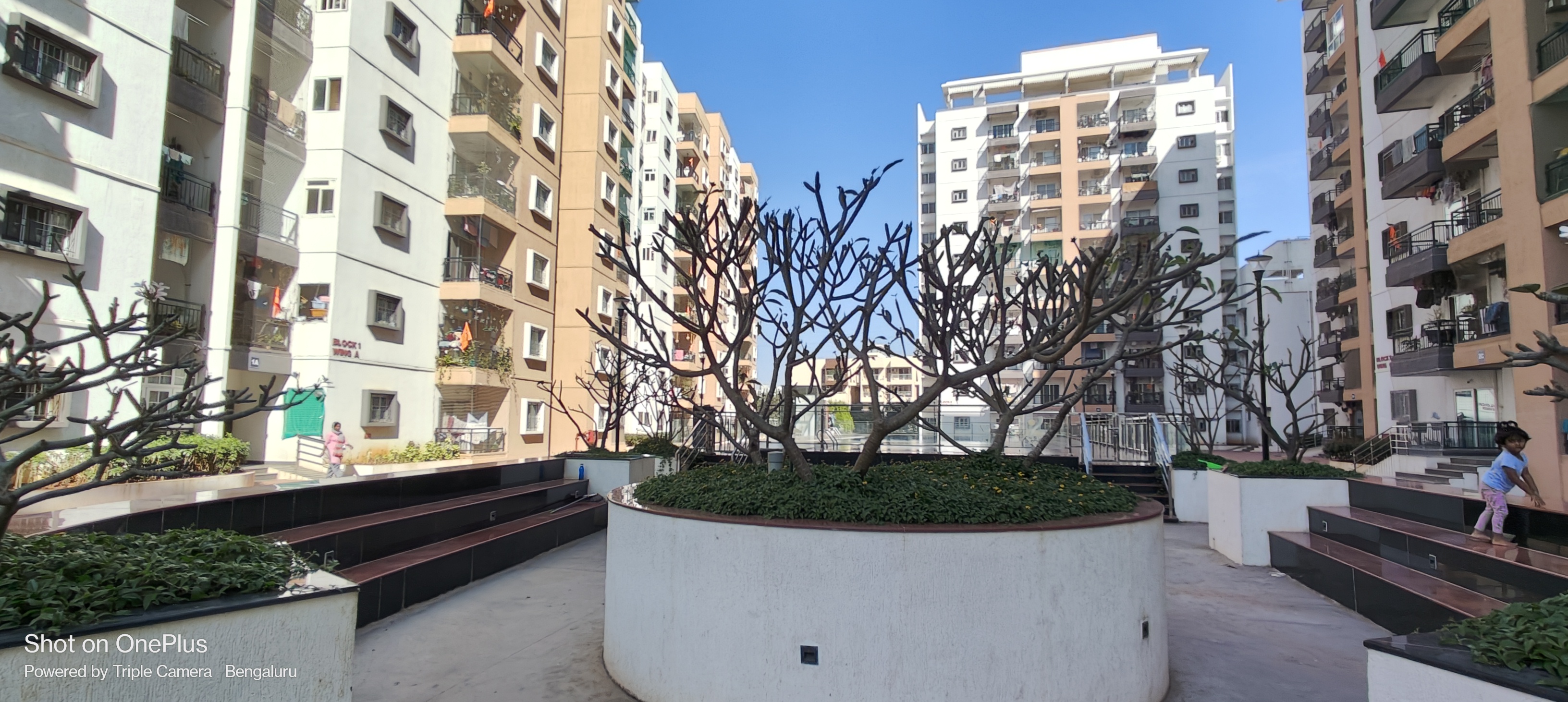 Suncity Arcadia Apartments