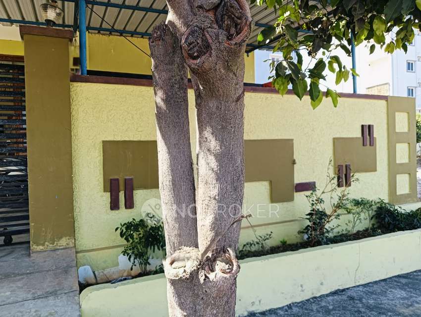 1 RK House for Rent  In Kistapur