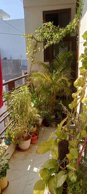 3 BHK Flat In Saubhagya Apartment For Sale  In Sector 7