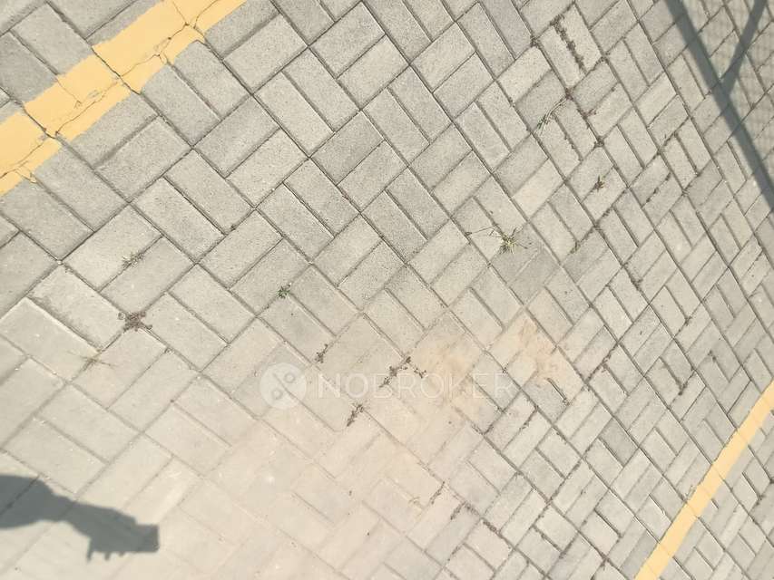 2 BHK Flat In Kolte Patil Oro Avenue for Rent  In Hinjewadi