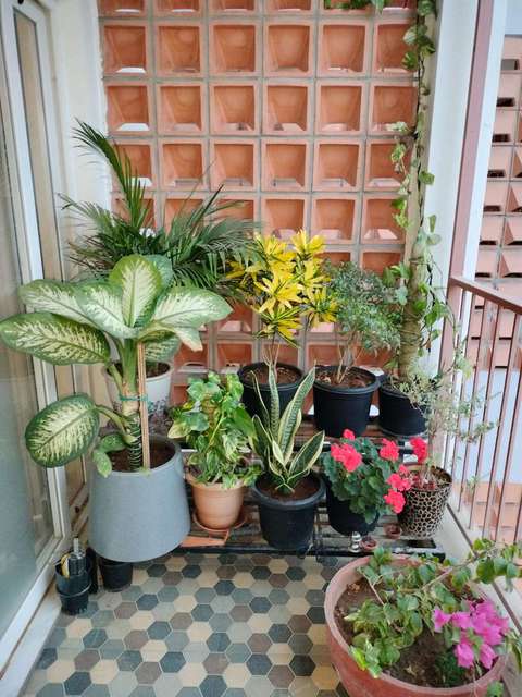 2 BHK Flat In Soul Tree By Modern Spaaces For Sale  In Kada Agrahara