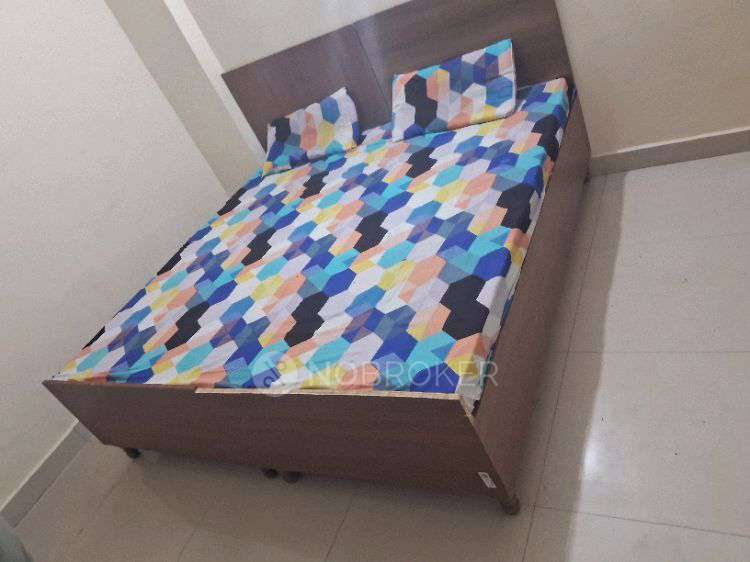 PG for Anyone in Sector 59