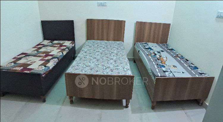 PG for Anyone in Sector 59