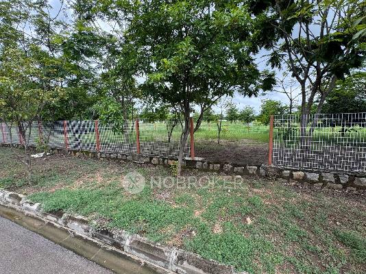 Plot For Sale  In Mokila