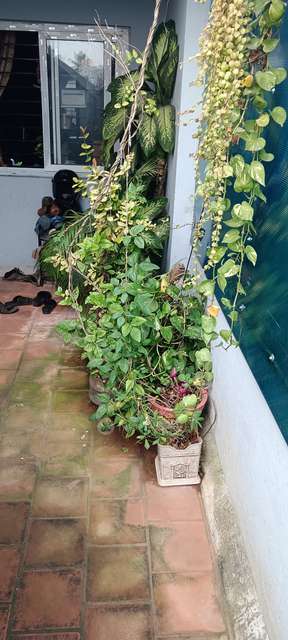 2 BHK Flat In Aravind Arunachalam For Sale  In Ambattur