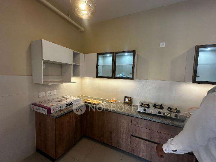 3 BHK Flat In Ivy County For Sale  In Sector 75