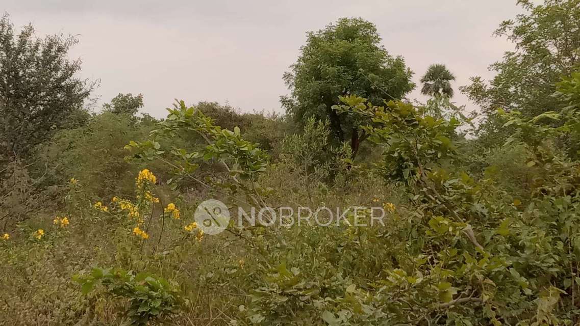 Plot For Sale  In Bibinagar