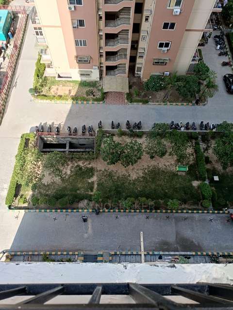 3 BHK Flat In Gardenia Gateway For Sale  In Sector 75