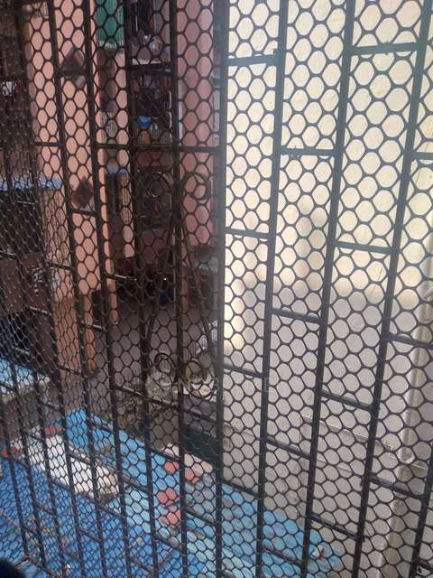 1 BHK Flat In Chauneshwar Chs For Sale  In Nerul