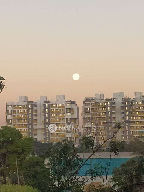 1 BHK Flat In Siddhi-anand Park,  For Sale  In Pimpri-chinchwad