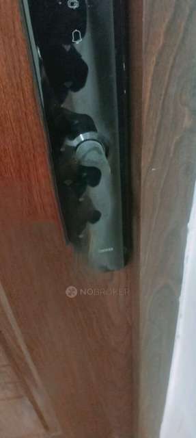 2 BHK Flat In Kohinoor Coral Phase 3 for Rent  In Hinjewadi