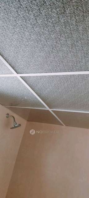 2 BHK Flat In Kohinoor Coral Phase 3 for Rent  In Hinjewadi