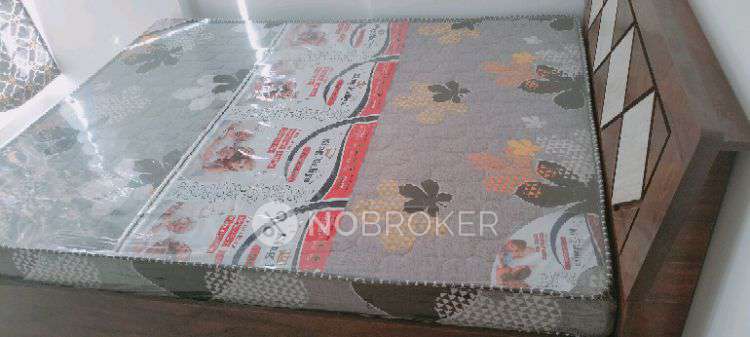 2 BHK Flat In Kohinoor Coral Phase 3 for Rent  In Hinjewadi