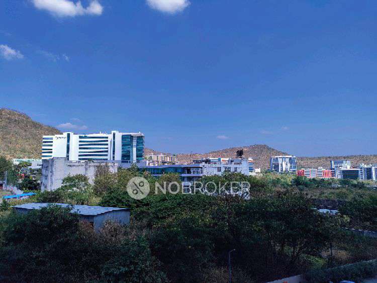 2 BHK Flat In Kohinoor Coral Phase 3 for Rent  In Hinjewadi