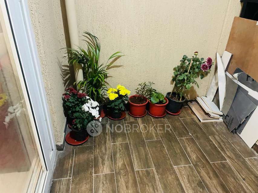 2 BHK Flat In Nyati Evolve Ii for Rent  In Magarpatta