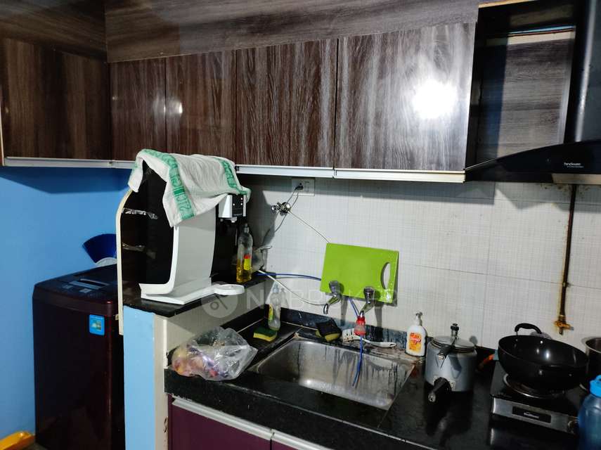 2 BHK Flat In Nyati Elan for Rent  In Wagholi