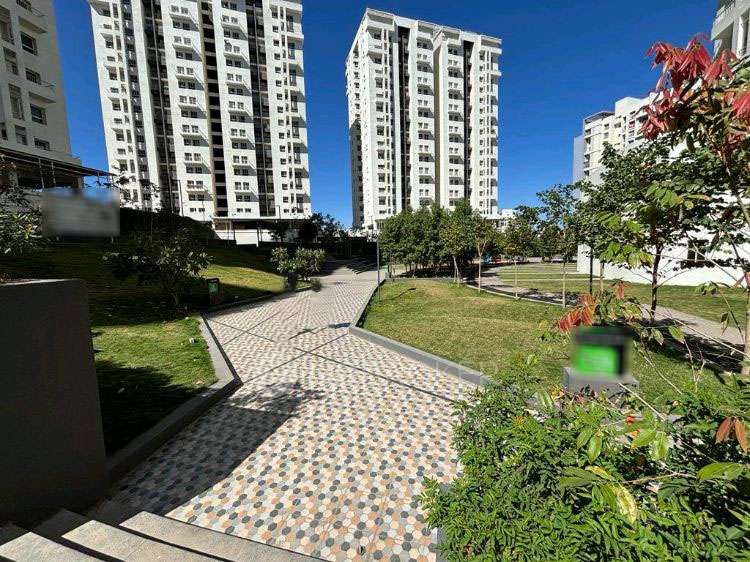 3 BHK Flat In Godrej Greens for Rent  In Undri