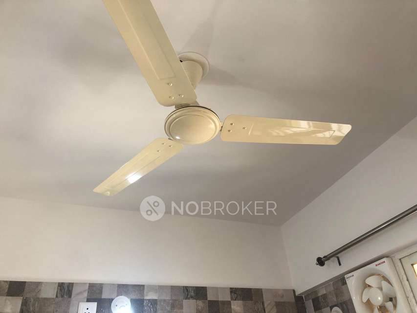 1 BHK Flat In Hill Shire Apartments for Rent  In Wagholi