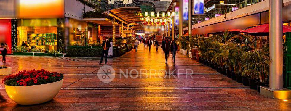 4 BHK Flat In Dlf Privana For Sale  In Sector 77