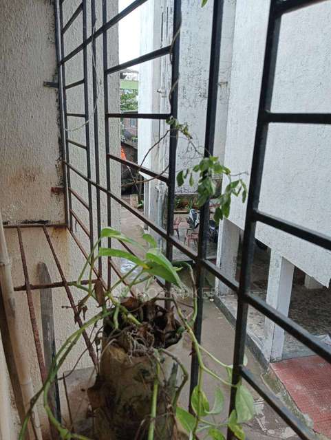 1 BHK House For Sale  In Usarli Khurd