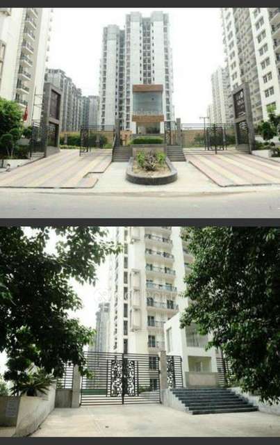 2 BHK Flat In Sikka Karnam Greens For Sale  In Sector-143