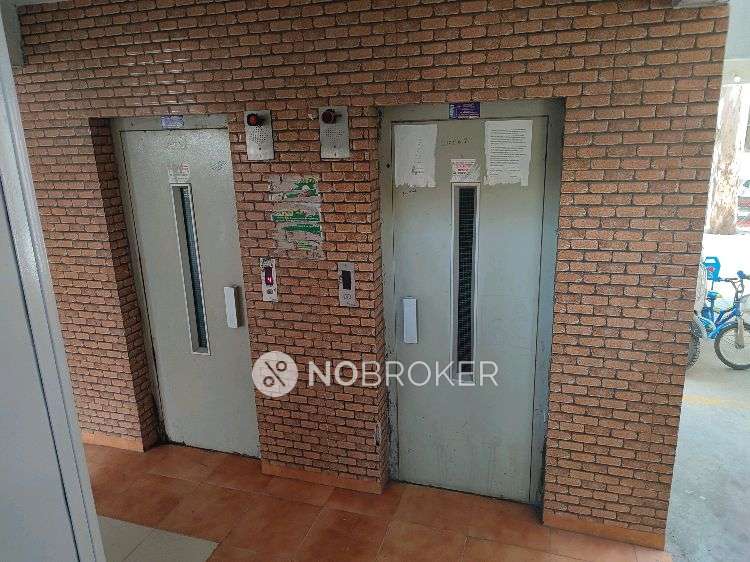 1 BHK Flat In Majestic Pride for Rent  In Kondhwa