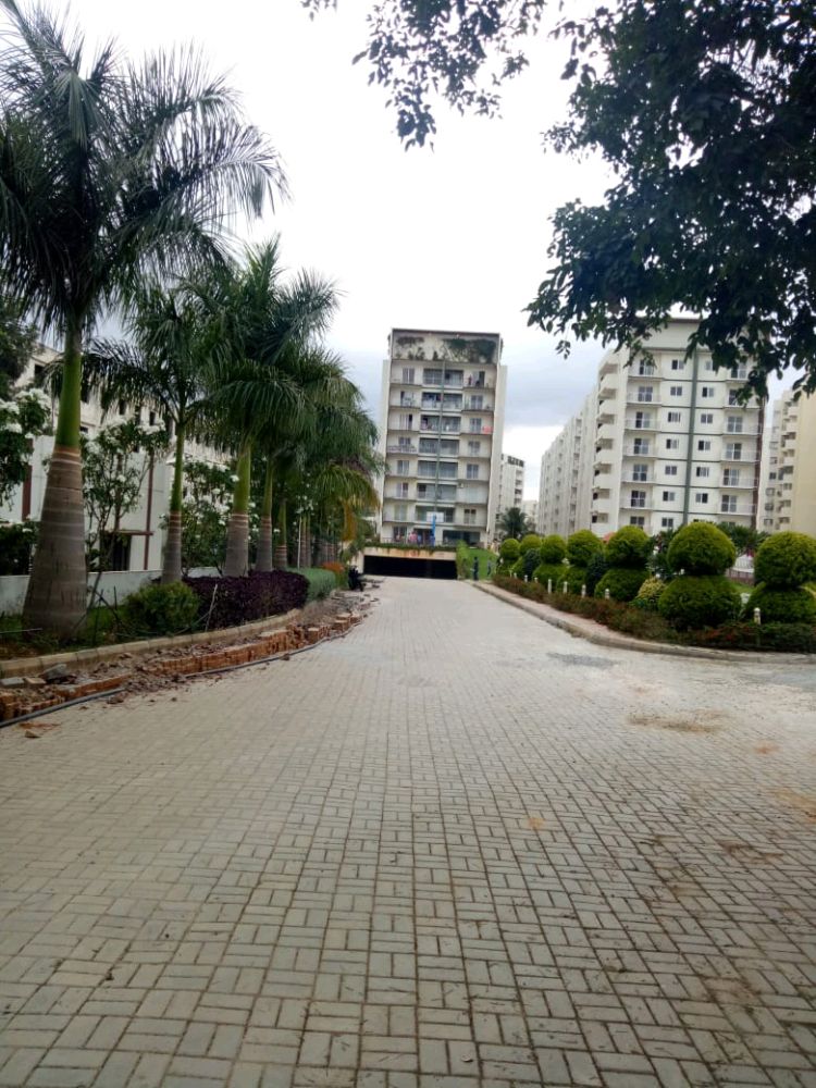 Nandhini Prakruthi Solitaire