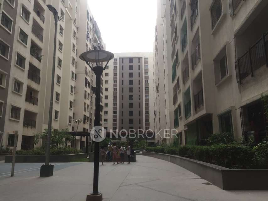 2 BHK Flat In Salarpuria Sattva Melody ,  for Rent  In Nayandahalli 