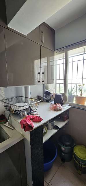 2 BHK Flat In Equilife Homes, Mahalunge for Rent  In Mahalunge