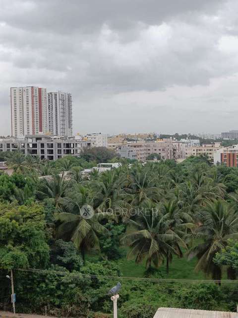 PG for Boys in  Whitefield