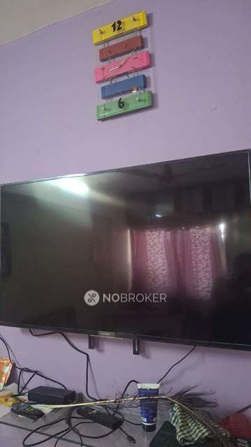 1 BHK Flat In Shriram Paradise for Rent  In Wagholi