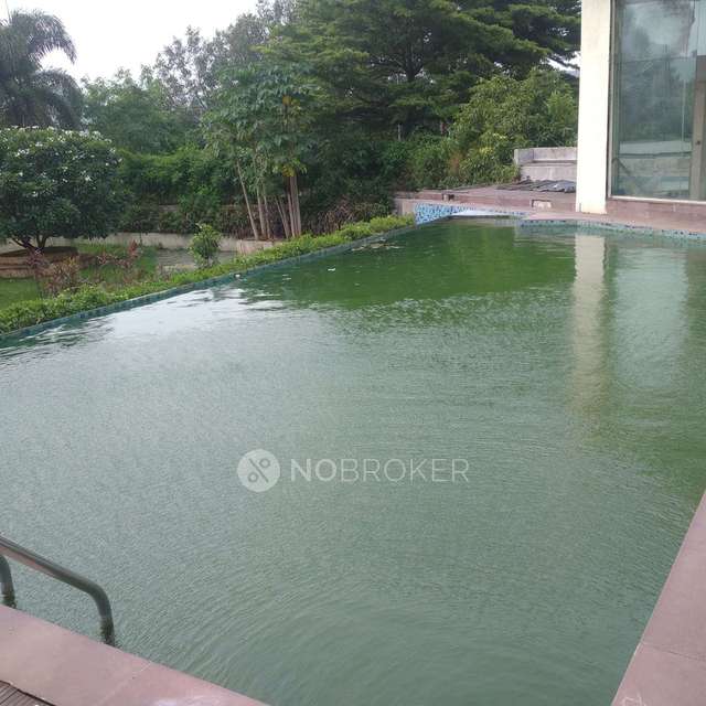 3 BHK Flat In Xrbia Riverfront For Sale  In Bebadohal