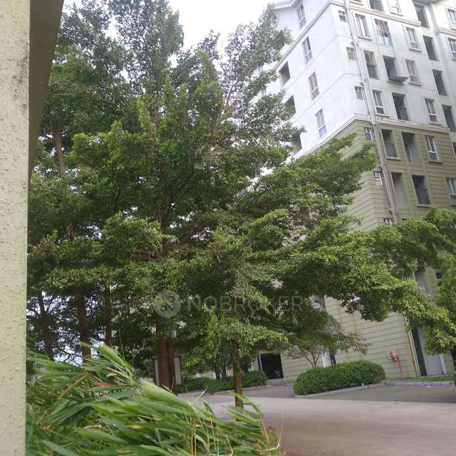 3 BHK Flat In Xrbia Riverfront For Sale  In Bebadohal