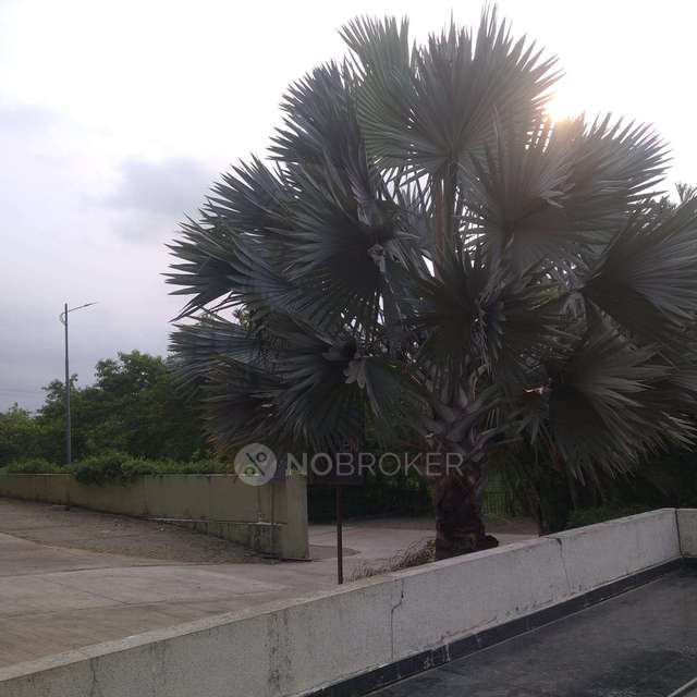 3 BHK Flat In Xrbia Riverfront For Sale  In Bebadohal