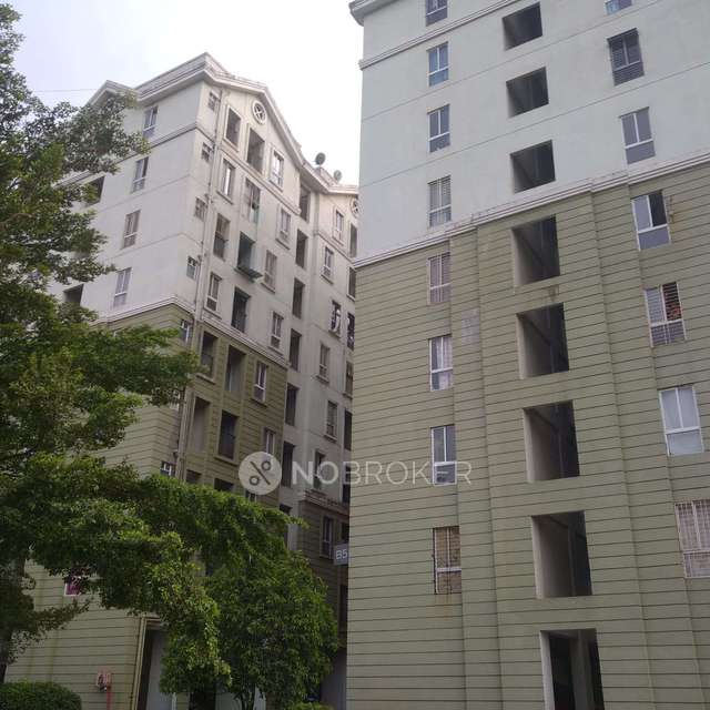 3 BHK Flat In Xrbia Riverfront For Sale  In Bebadohal