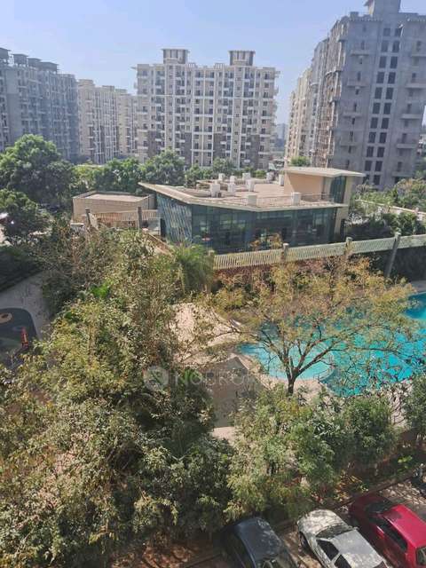 3 BHK Flat In Nyati Elan West Ii for Rent  In Wagholi