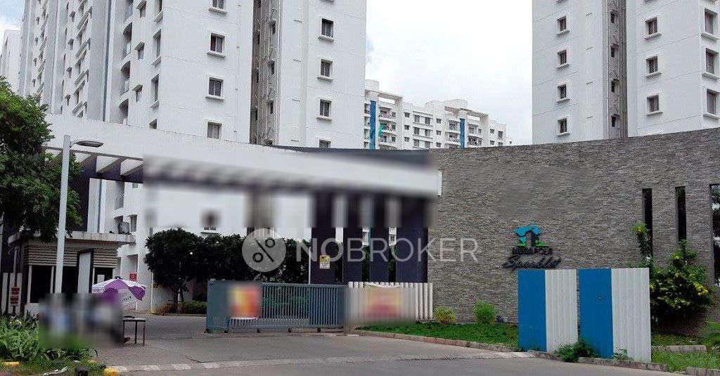 2 BHK Flat In Megapolis Smart Homes I-sparklet, Hinjewadi for Rent  In Hinjewadi