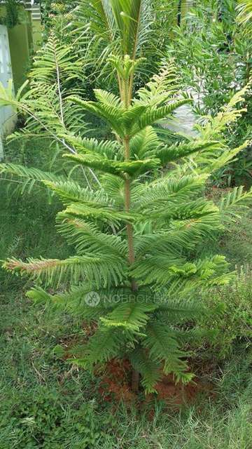 3 BHK House For Sale  In Guduvancheri 