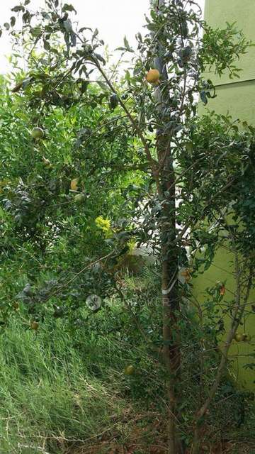 3 BHK House For Sale  In Guduvancheri 