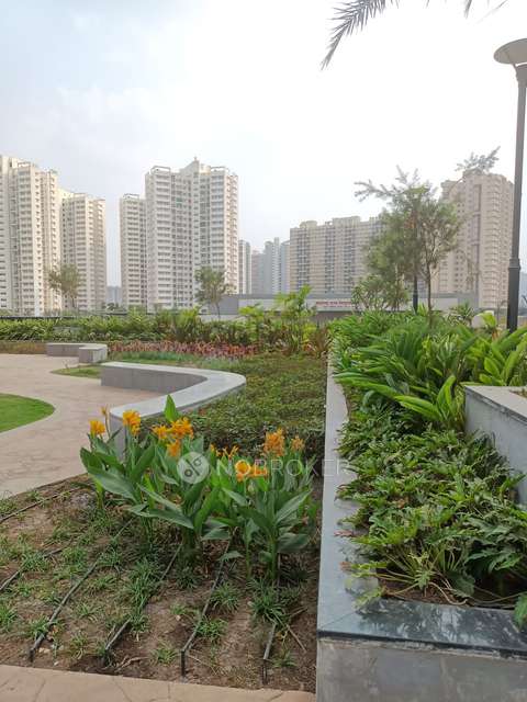 2 BHK Flat In Kolte Patil Life Republic for Rent  In Hinjewadi