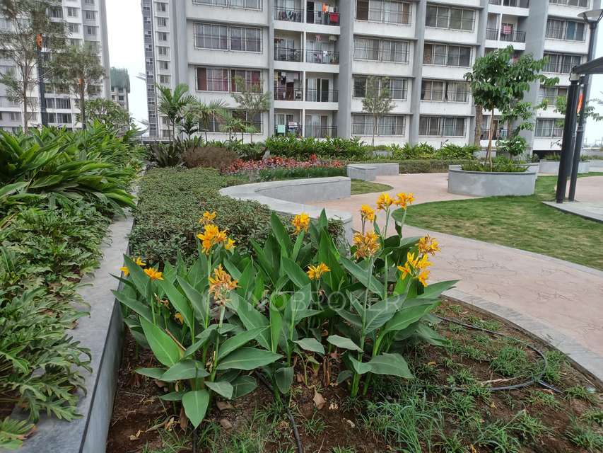 2 BHK Flat In Kolte Patil Life Republic for Rent  In Hinjewadi