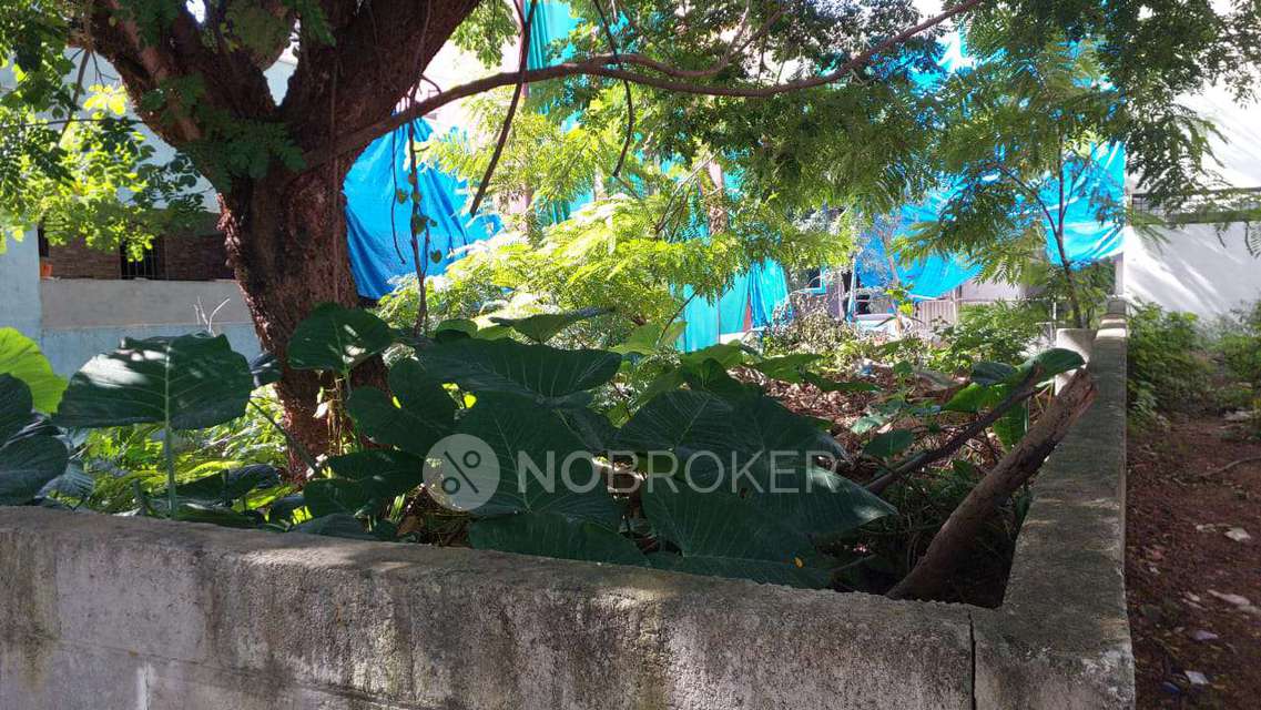 Plot For Sale  In Subramanyapura