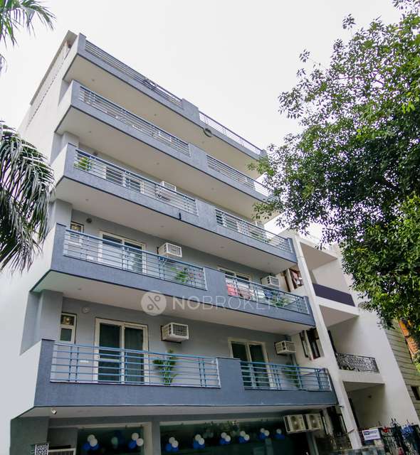 PG for Anyone in Sector 39