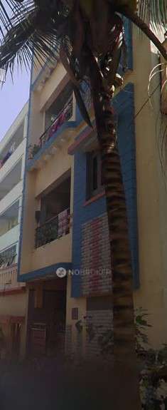 1 BHK Flat In Resident Welfare Society Amarpali for Rent  In Rohini